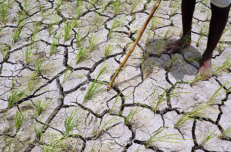 La dura misión de hacer frente al verano y la sequía