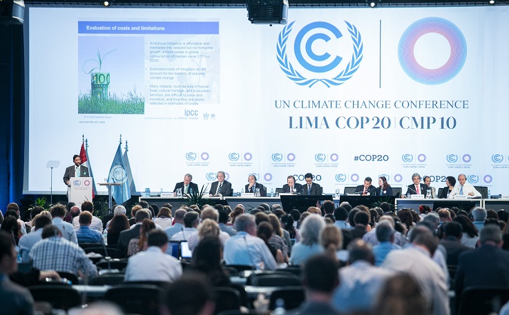 La COP20 en cifras