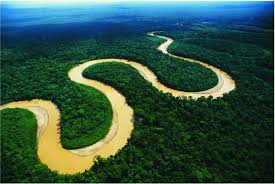 El Amazonas reduce a la mitad su capacidad para absorber CO2