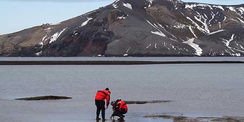 Científicos chilenos estudiarán efectos del cambio climático en los mares de la Patagonia y la Antártica